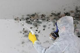 Why You Should Choose Our Mold Remediation Services in Opelika, AL